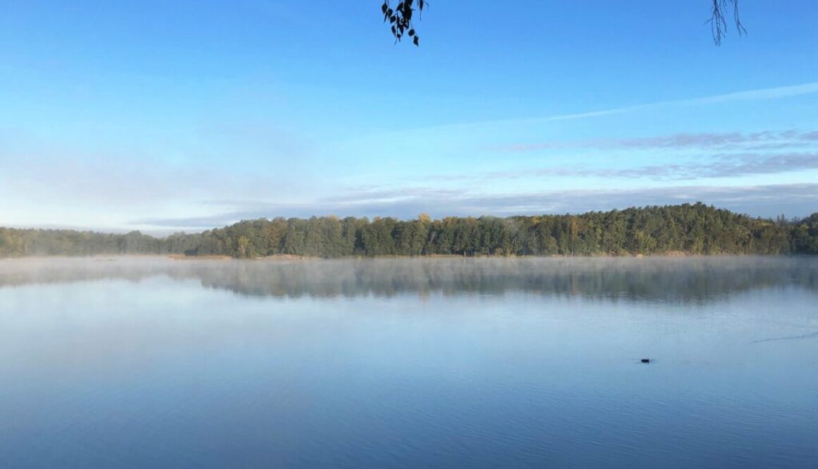 naturen vatten stockholm